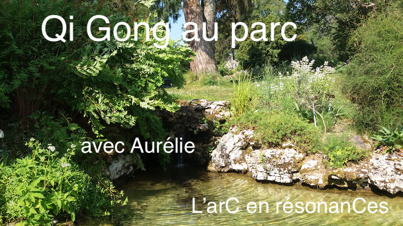 Qi Gong au parc à Chêne-Bourg, été 2024